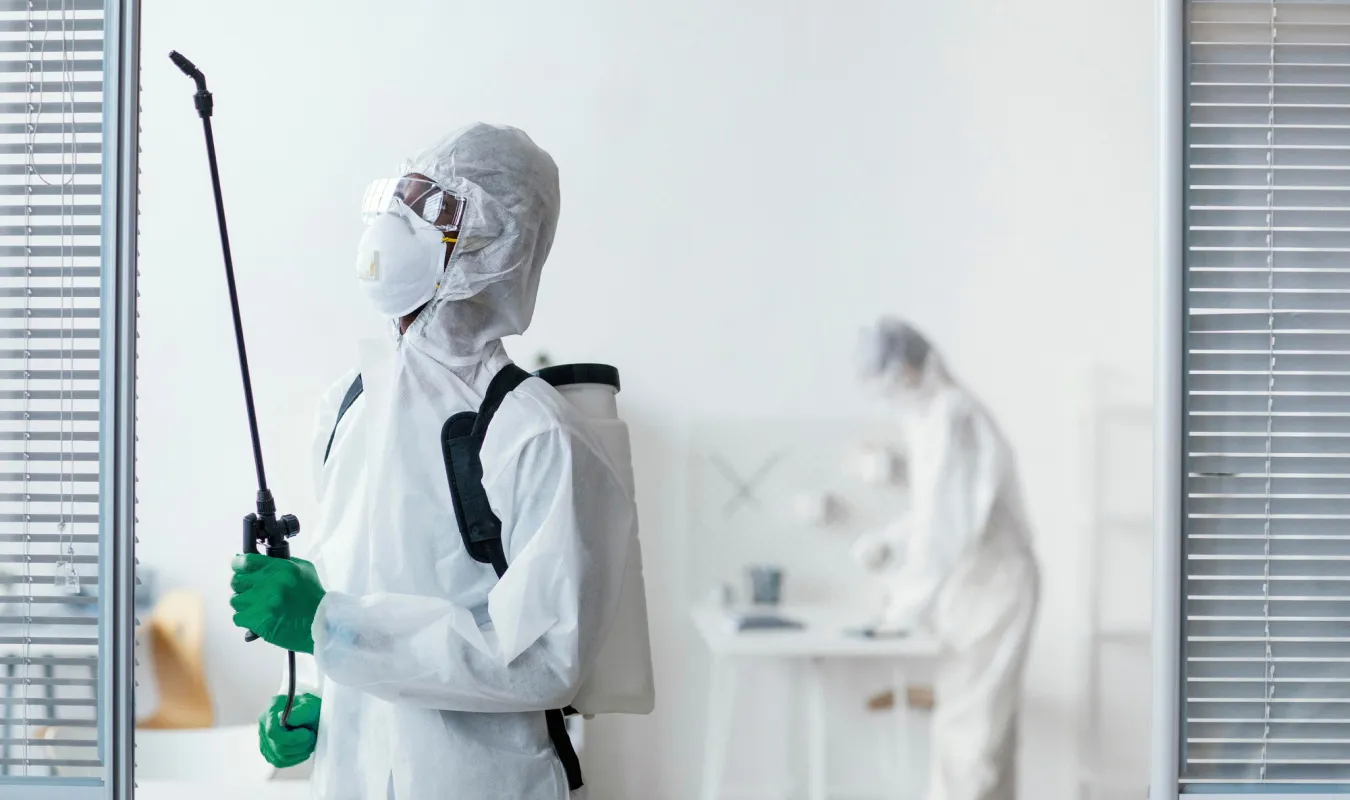 طريقة تعقيم البيت من الفيروسات