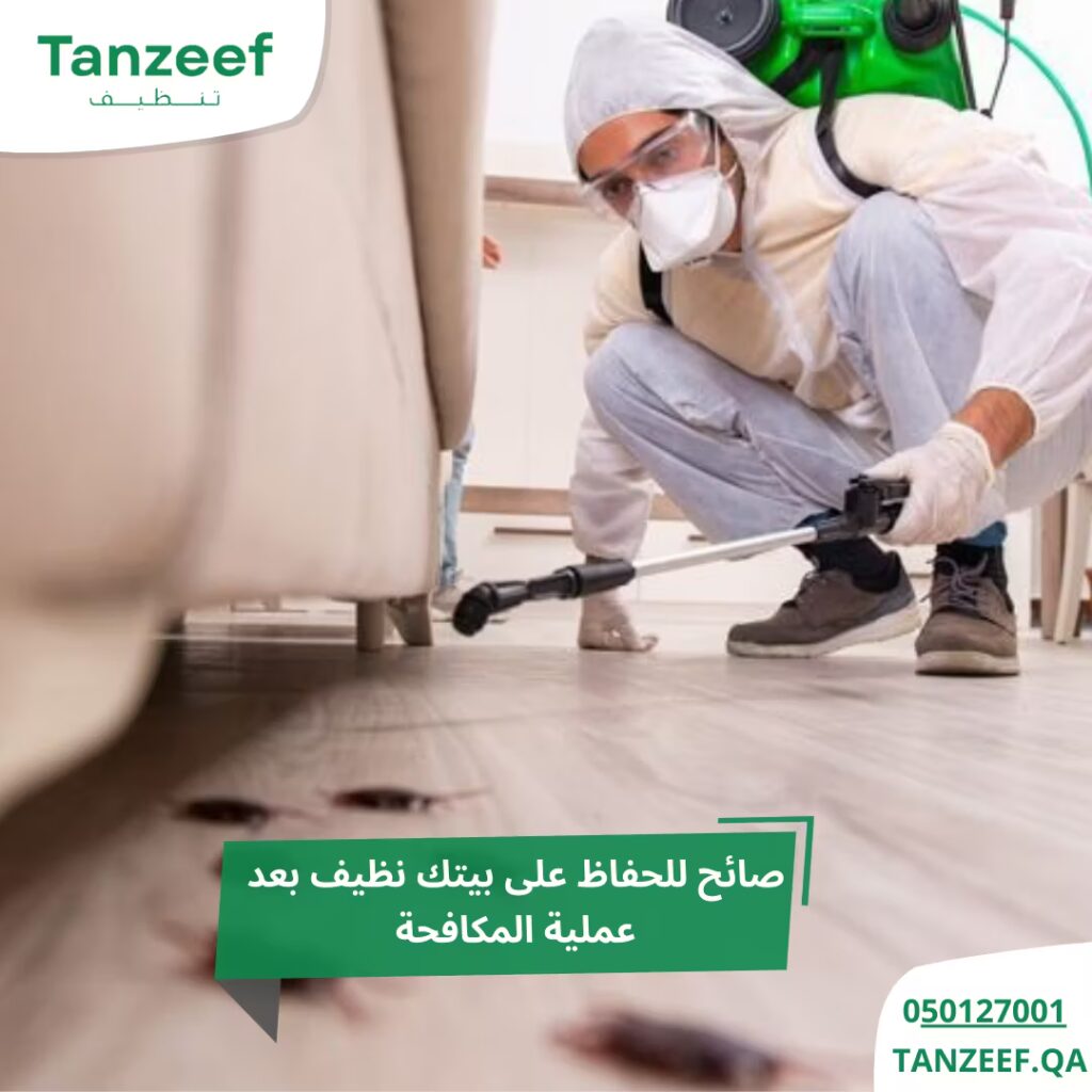 طريقة لقتل الحشرات في المنزل