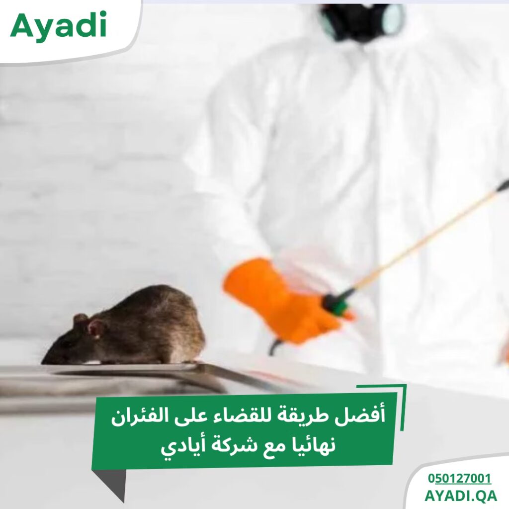 افضل طريقة للقضاء على الفئران نهائيا من المنزل 2 افضل طريقة للقضاء على الفئران نهائيا